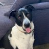 Фото профиля Dustin Dietz