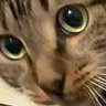 Tinkle BUTTS's profile picture