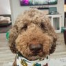 MC's profile picture