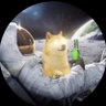 El Doge 的头像