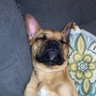 justin's profile picture