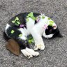 Profilbild von LakeðŒæ³