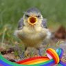Profilbild von XJ