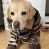 moli's profile picture