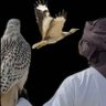 𝓗𝓑𝓢.𝓢𝓝𝓘𝓟𝓔𝓡 profil fotoğrafı