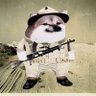 BrenFella🇺🇦🇳🇿🇺🇦 🍖³📈 profil fotoğrafı