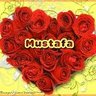 Ghulam Mustafa M. Rasheed profil fotoğrafı