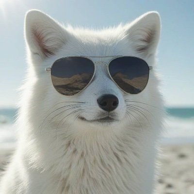 Lis's profile picture