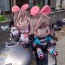 Profilbild von 変態仮面ライダーblack