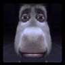 Profilbild von donkey