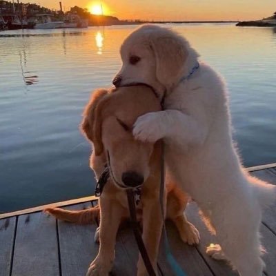 ์ก์งํธ's profile picture