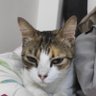 Allly_tr profil fotoğrafı