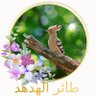 FARID.F's profile picture