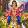விவசாயி அய்யப்பன் 的头像