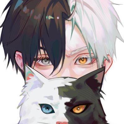 silphia ⋆·˚'s profile picture
