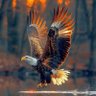 Фото профиля Transfer News