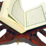 فدوى 的头像