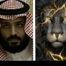 دولة الجنوب العربي الديمقراطية الشعبيه's profile picture