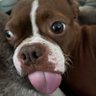 Profilbild von Hi! I’m Sanny.