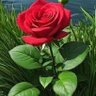 Фото профиля khl1179