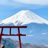 だってうそだもん profil fotoğrafı