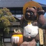 KOOO🇯🇵🎌🇯🇵's profile picture