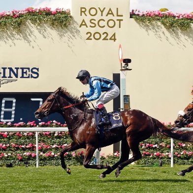 Henry Dwyer Racing's profile picture