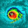Hurricane Dave 的头像