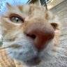 Matt's profile picture