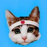 たかひろさぬき 的头像