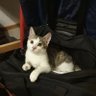 Profilbild von Alexander