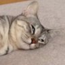 yasu profil fotoğrafı