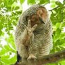 CWG profil fotoğrafı