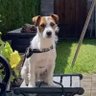 michael Coleman 🏴🏴's profile picture