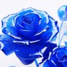 Yock 𓂃🥀𓈒𓏸東京ドーム両日's profile picture