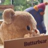 Profilbild von KT