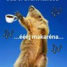 Ivana Kaplánková's profile picture
