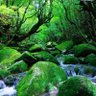 Фото профиля やまやま