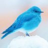 デコ's profile picture
