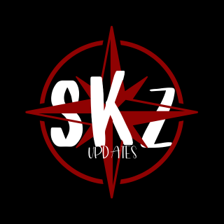 STRAY KIDS UPDATES's profile picture