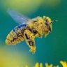 Oskaoskasiera profil fotoğrafı