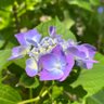 Фото профиля ミチ