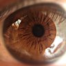 عبدلله profil fotoğrafı