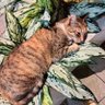 Uzui _6 profil fotoğrafı