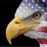 Truth Seeker's profile picture