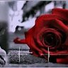 Ali Ali mahmoud Farrag's profile picture