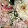 Peonia 的头像