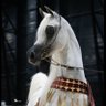 Фото профиля الغامدي
