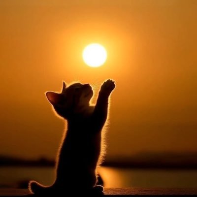 ming oh's profile picture