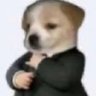 ushi.'s profile picture